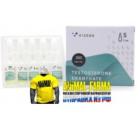 TESTOSTERONE ENANTHATE Vizega (Индия) - Упаковка 5 шт. 1ml|250mg